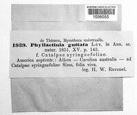 Image Associated With the Occurence